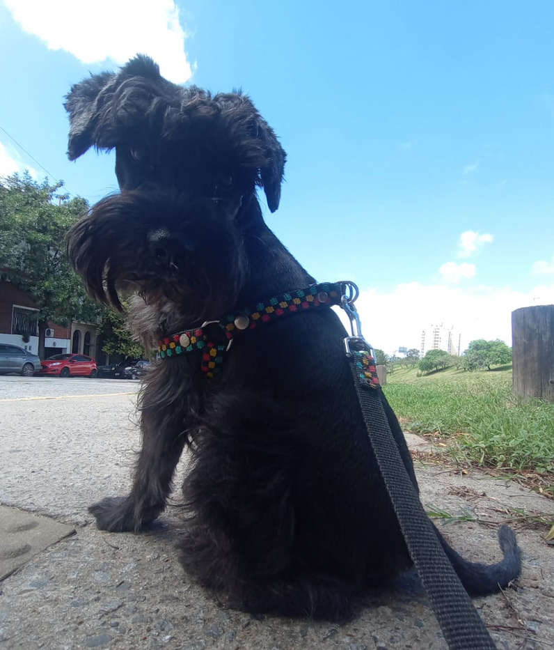Foto 1 de SIRIUS
